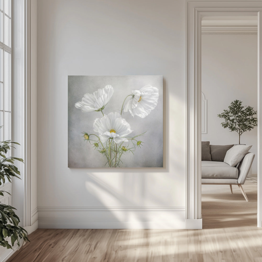Cosmos Charm | Canvas