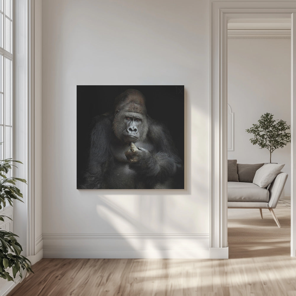 IMHO .... | Canvas