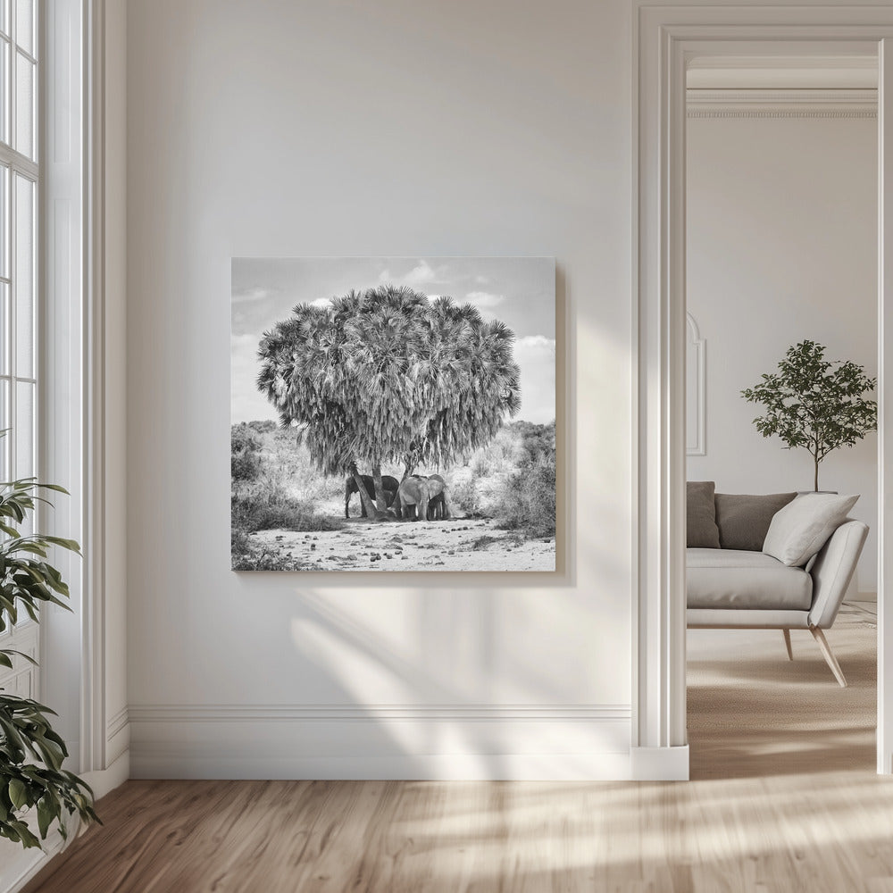 Keskipäivän kokous | Canvastaulut