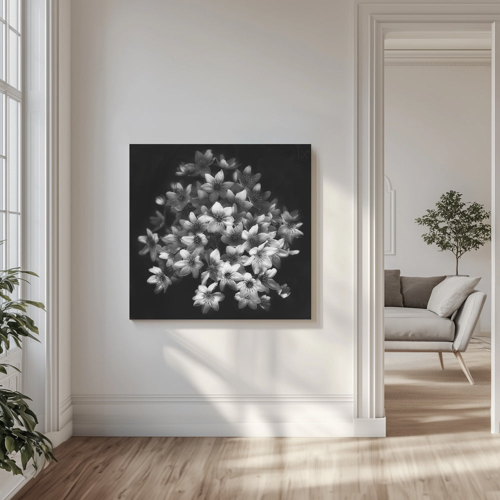Early Sensation | Canvas