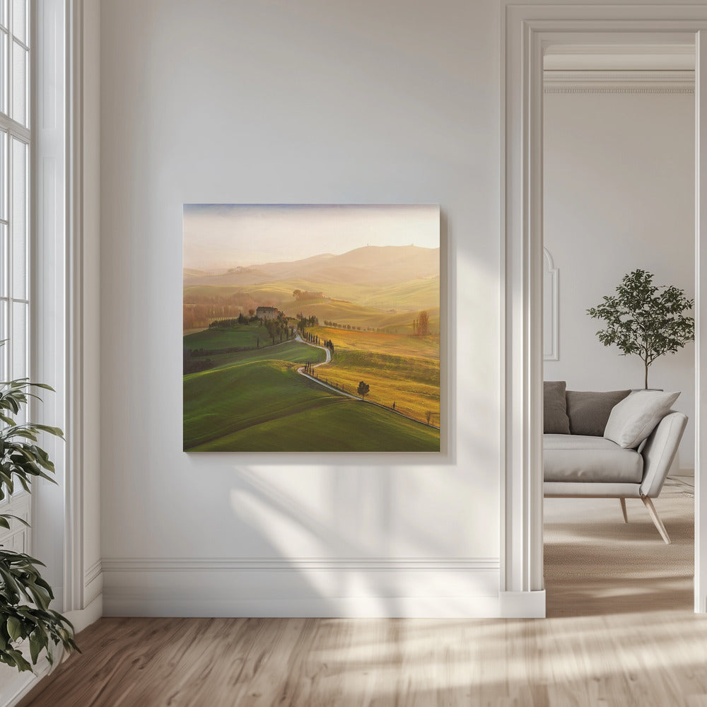 Val d'Orcia | Canvastaulut