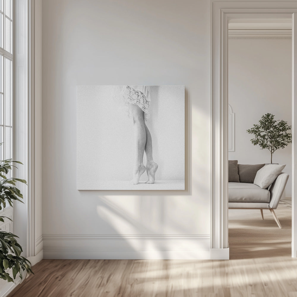 Untitled | Canvas