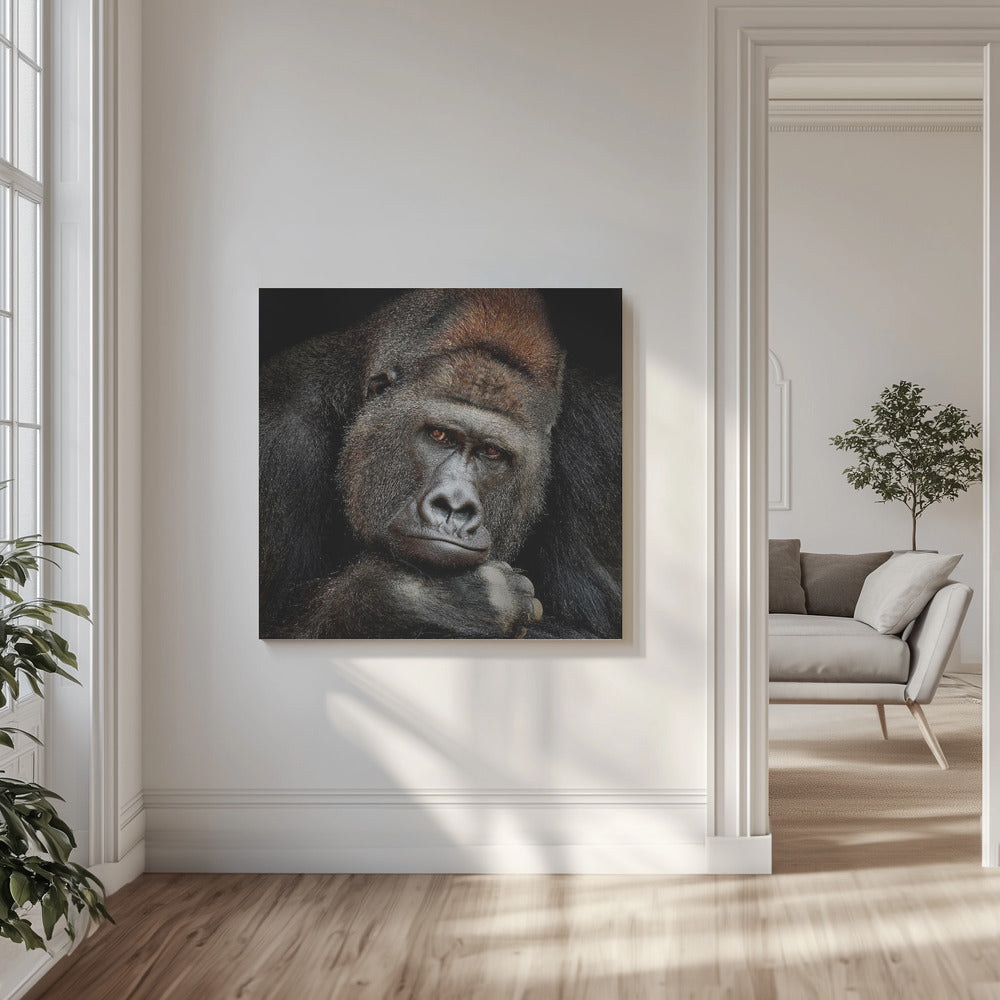 ONE MOMENT IN CONTACT | Canvas