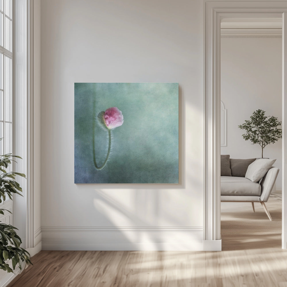 Luottamus | Canvastaulut