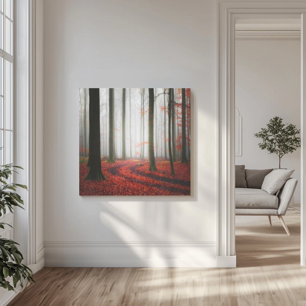 Jesienne ścieżki | Wydruki na łótnie