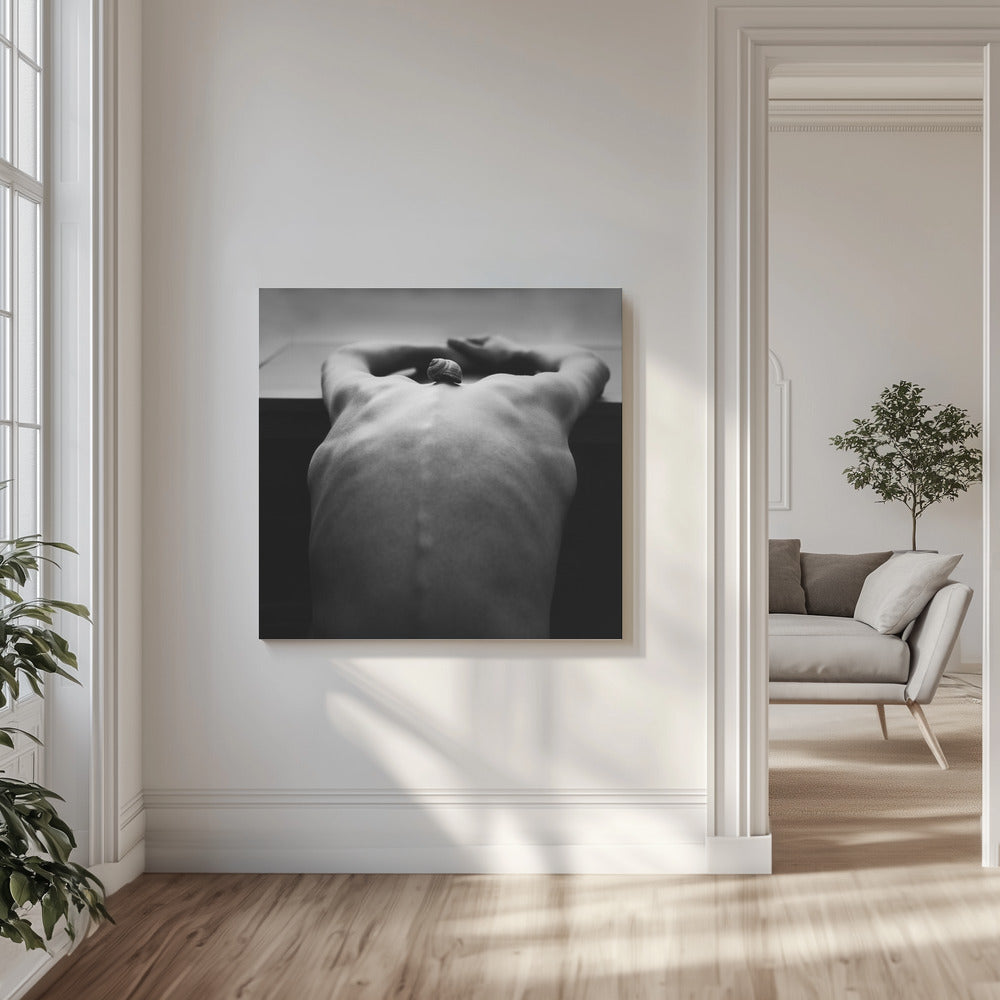 ślimak Wydruki na łótnie