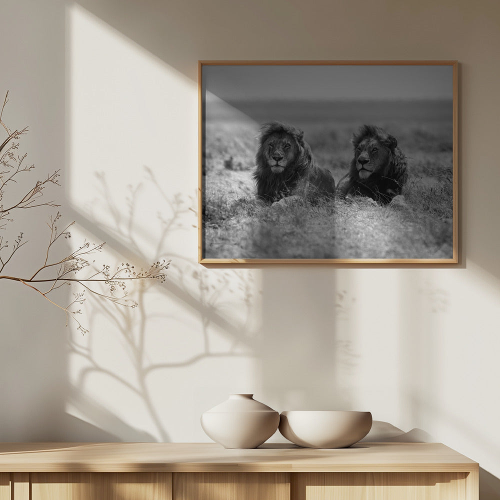 Kaksi kuningasta | Julisteet - Taidevedokset