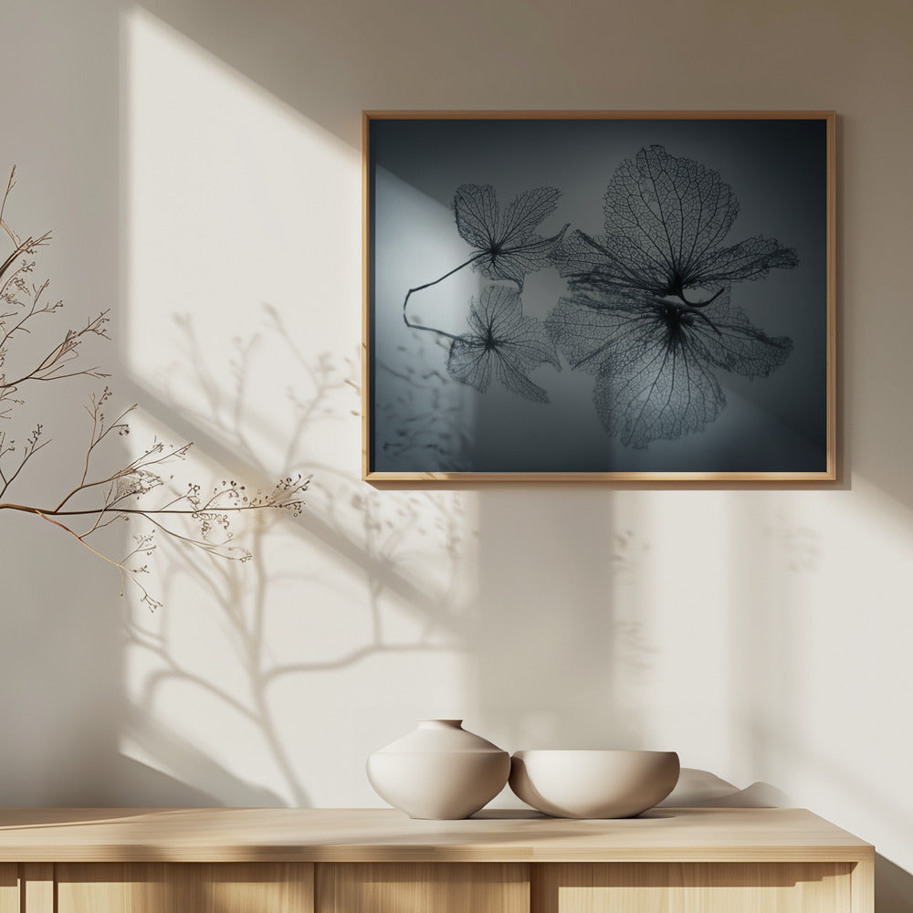 Lyhytaikainen kauneus | Julisteet - Taidevedokset