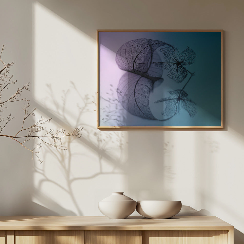 Lehden ja kukan tarina | Julisteet - Taidevedokset