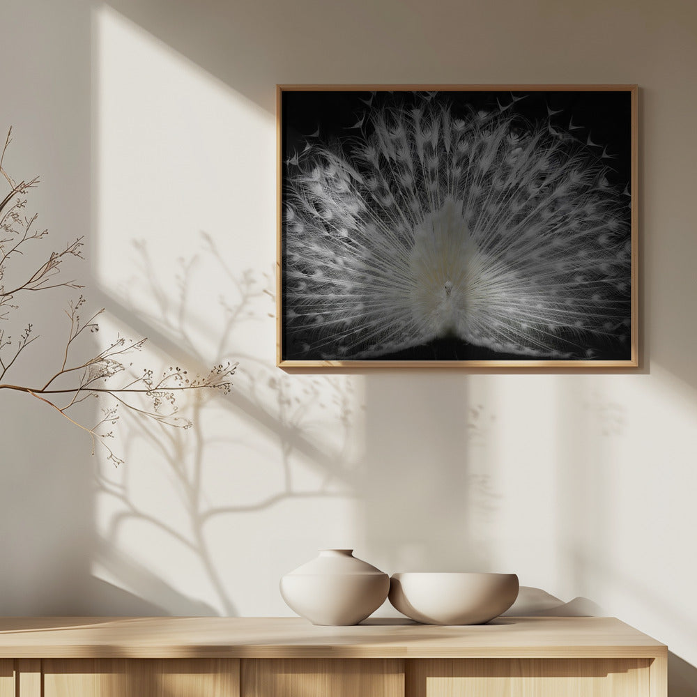 mustavalkoinen, | Julisteet - Taidevedokset