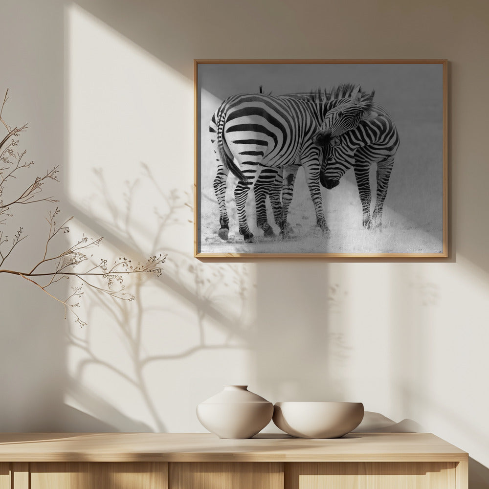 Zärtlicher Moment | Poster - Kunstdruck