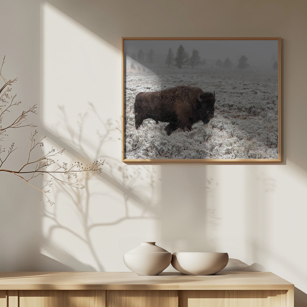 Myöhäinen syksy Yellowstonessa | Julisteet - Taidevedokset