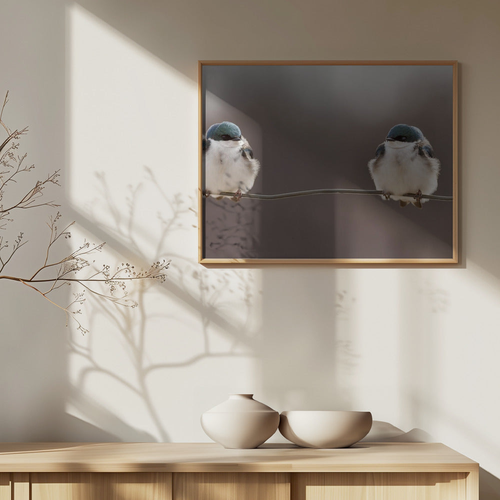 Linnut langalla | Julisteet - Taidevedokset