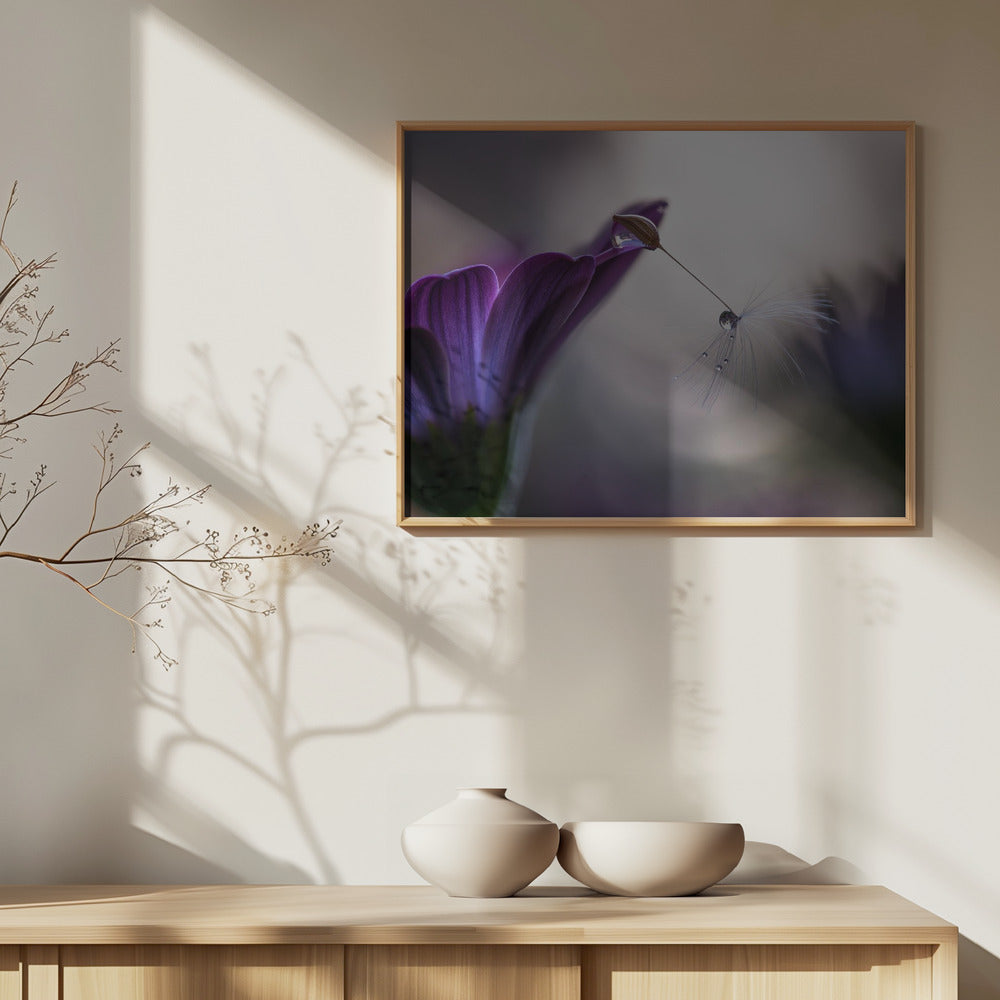 Violetti sade | Julisteet - Taidevedokset