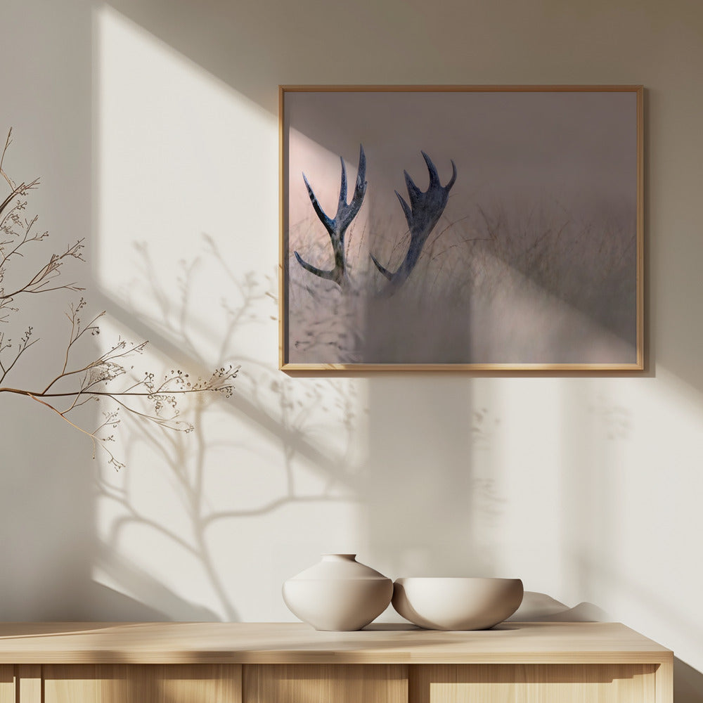 Piiloleikki (hirven sarvi) | Julisteet - Taidevedokset