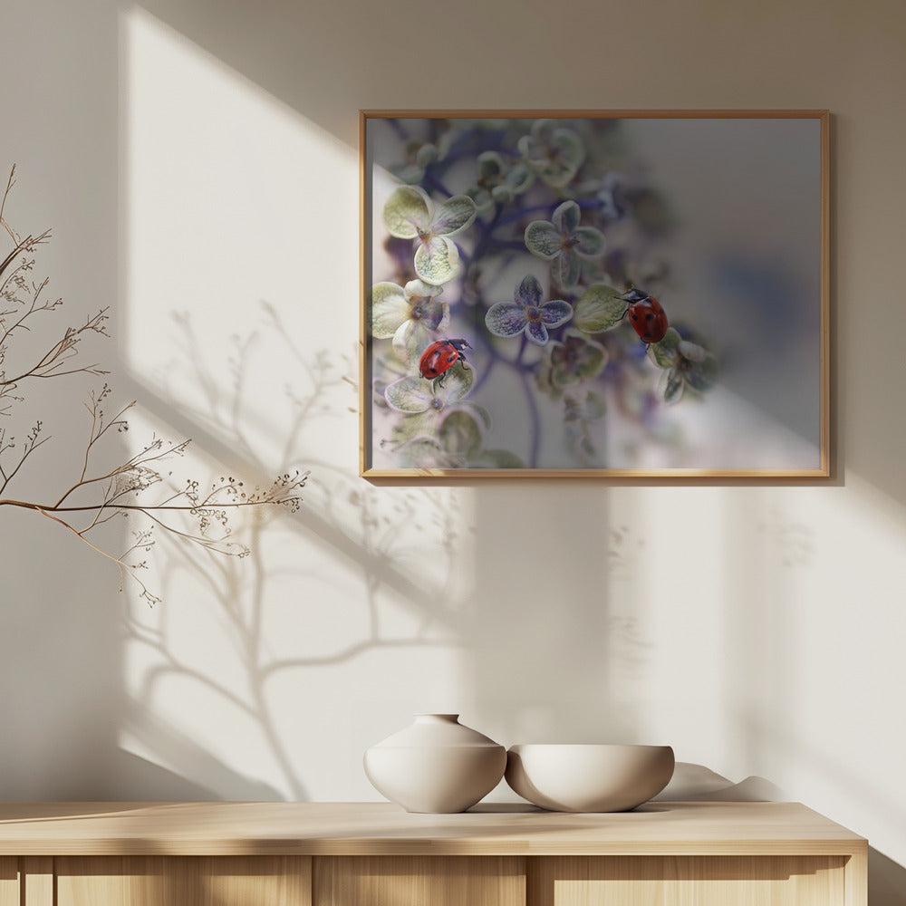 Hauras | Julisteet - Taidevedokset