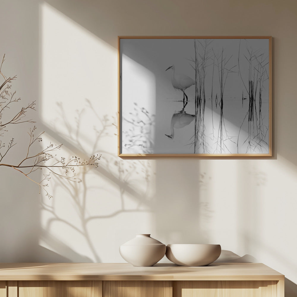 white | Poster