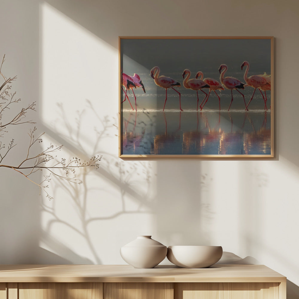 Flamingo | Julisteet - Taidevedokset