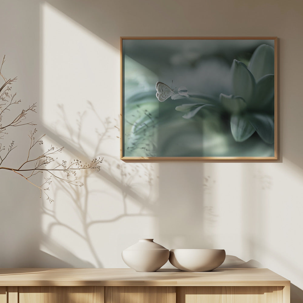 taikapallo | Julisteet - Taidevedokset