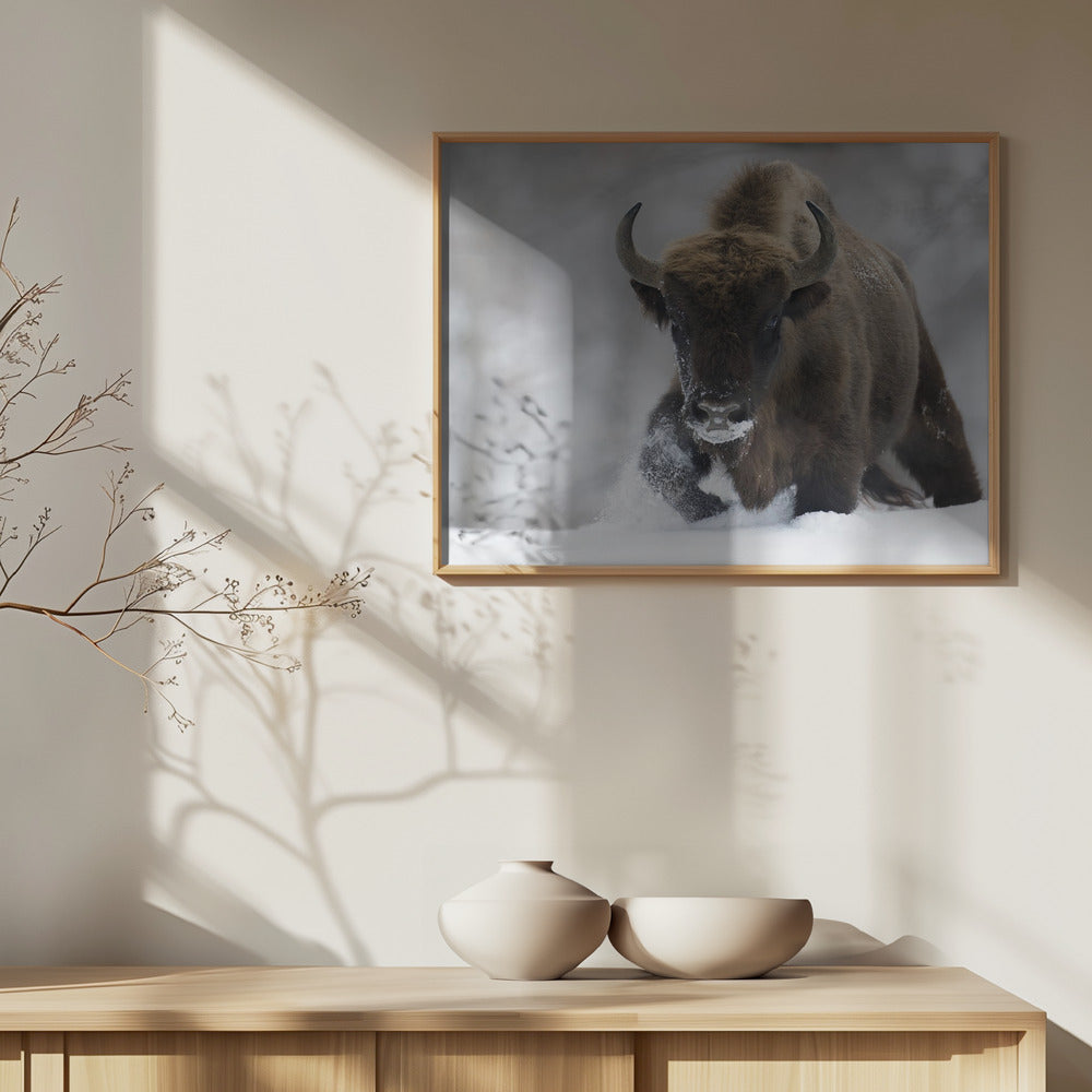 Uudelleen villiintynyt | Julisteet - Taidevedokset