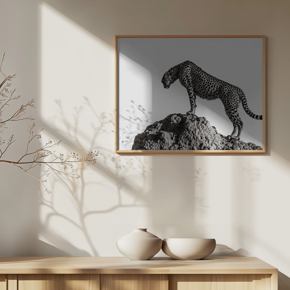 metsästäjä | Julisteet - Taidevedokset