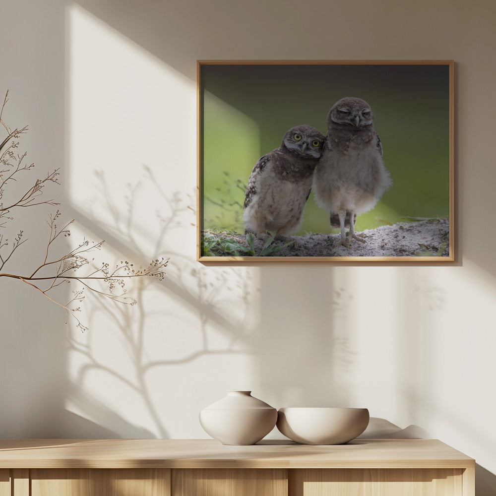 Ystävät | Julisteet - Taidevedokset