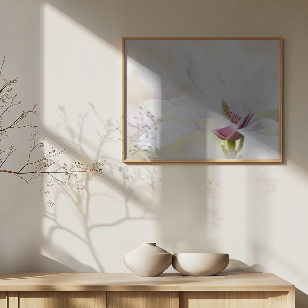 Puhtaus | Julisteet - Taidevedokset