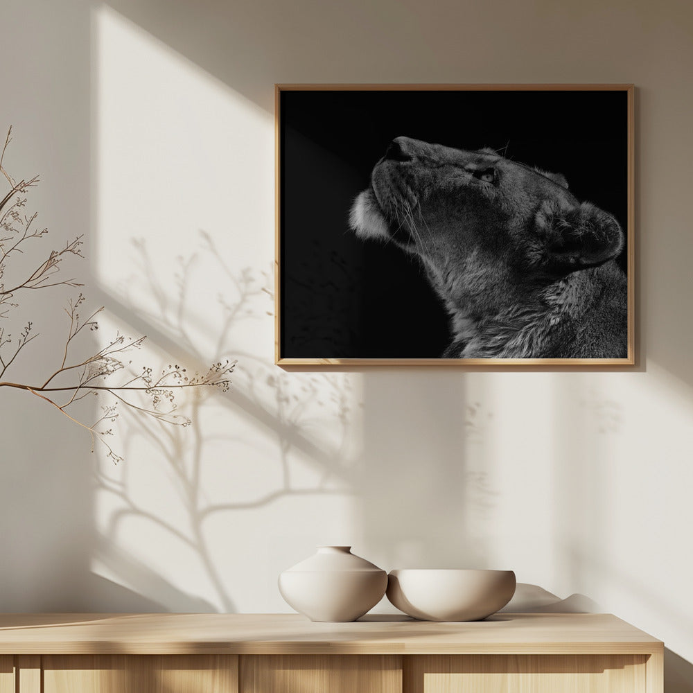 Katse ylös | Julisteet - Taidevedokset