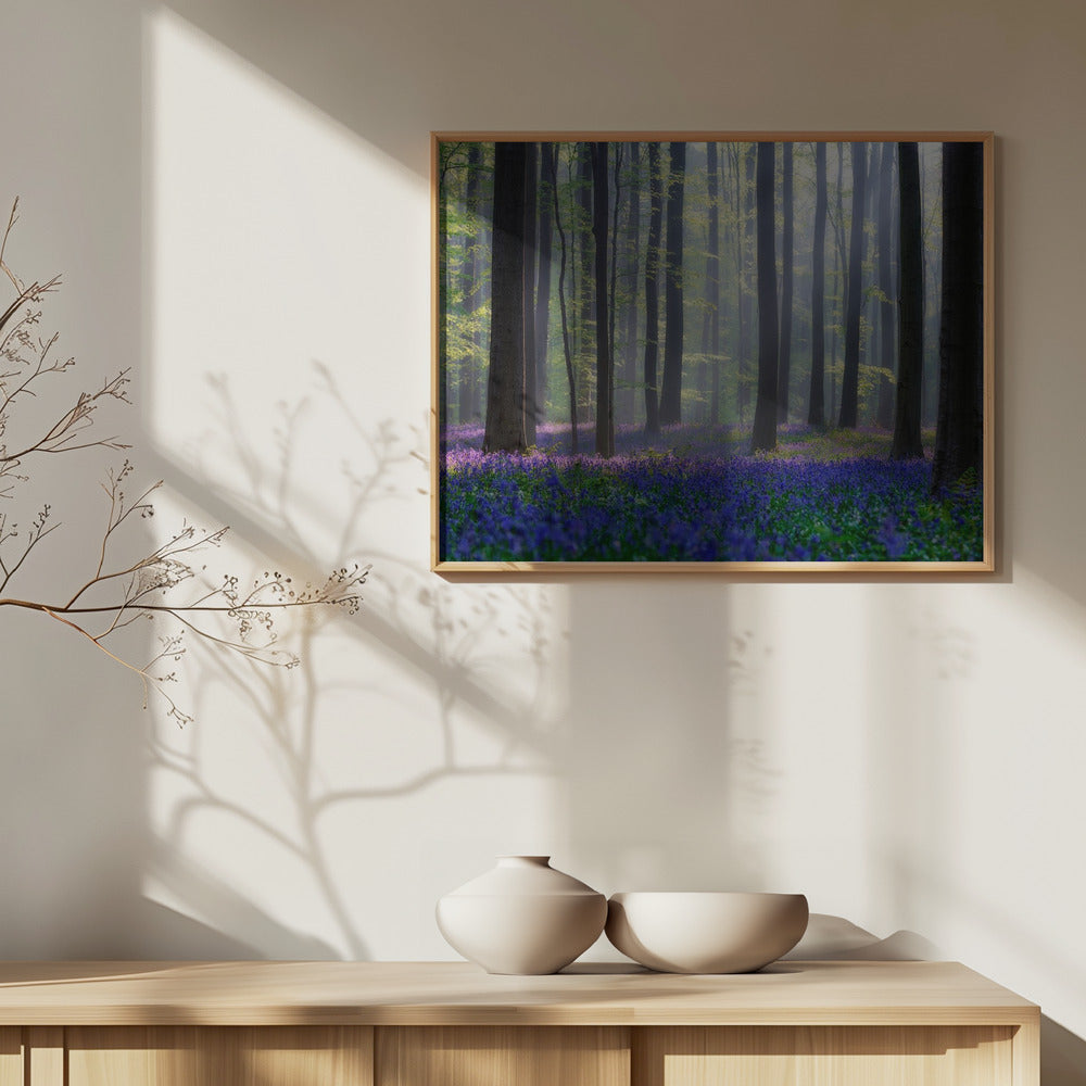 Bluebells | Poster