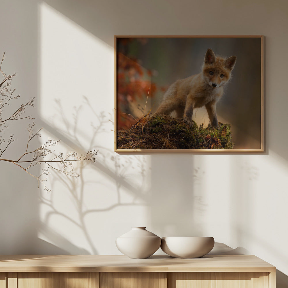 Fox | Poster