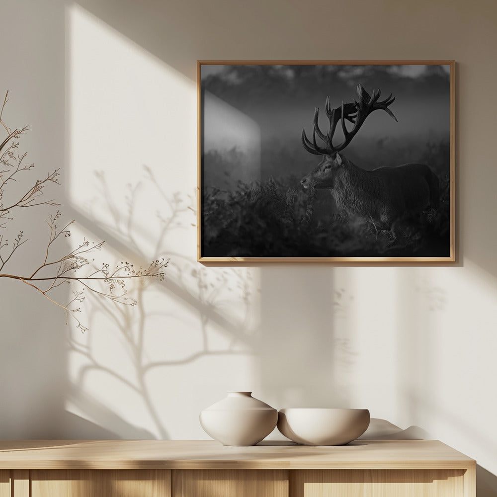 Aurinkoinen aamu | Julisteet - Taidevedokset