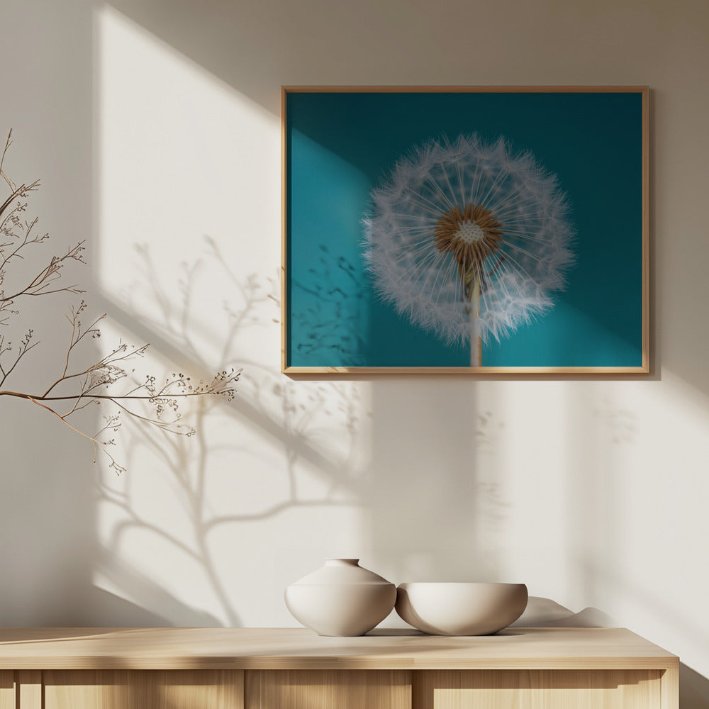 Voikukka | Julisteet - Taidevedokset