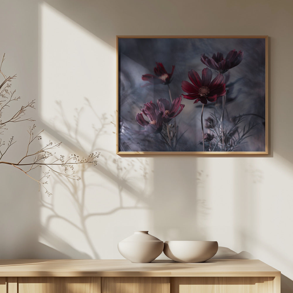 Cosmoslicious | Julisteet - Taidevedokset