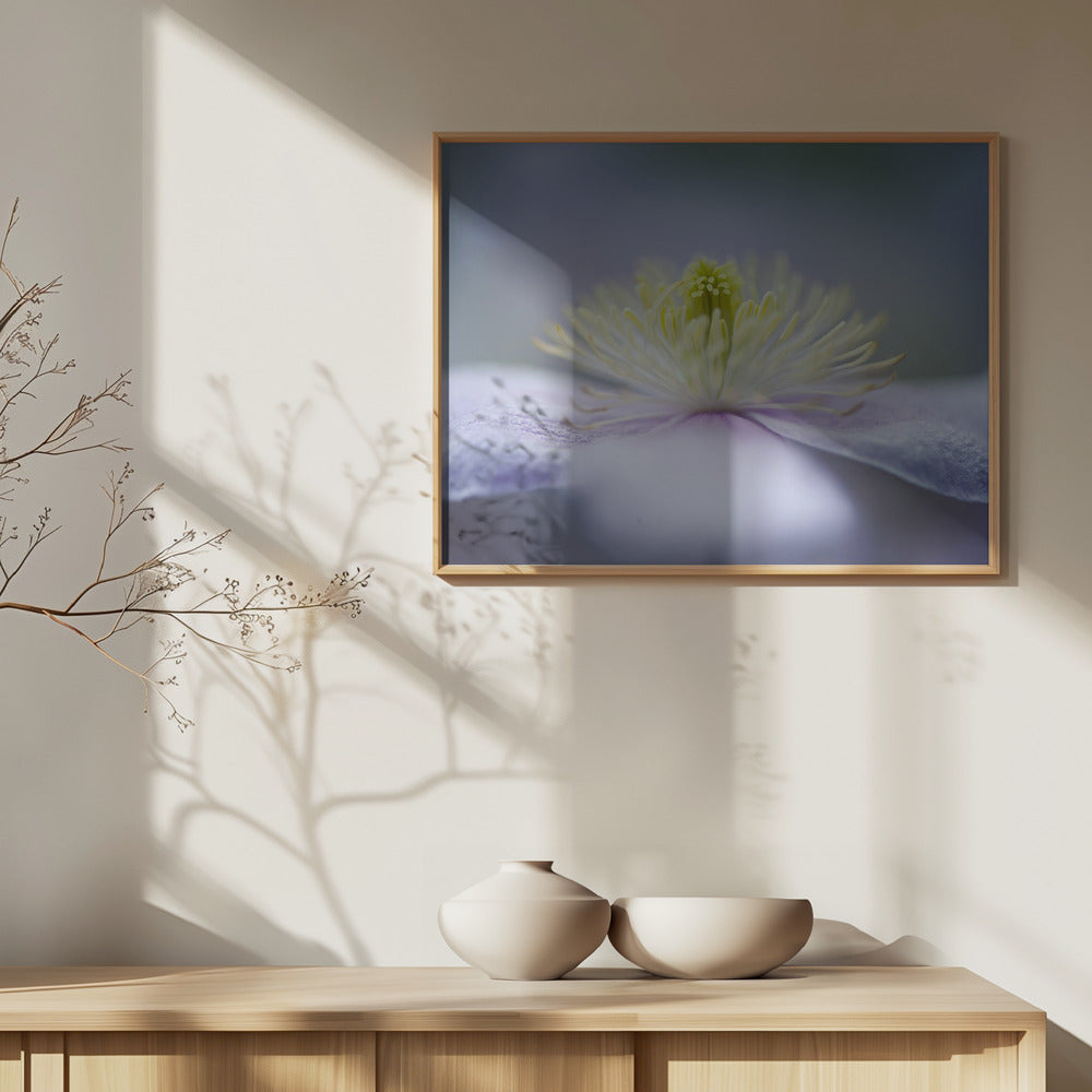 Mayleen | Posters  - Impresiones de Arte