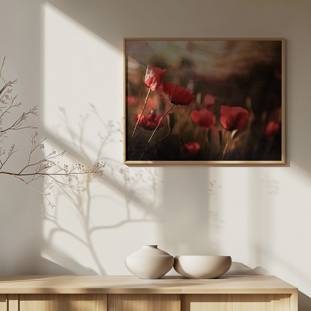 aamuilma | Julisteet - Taidevedokset