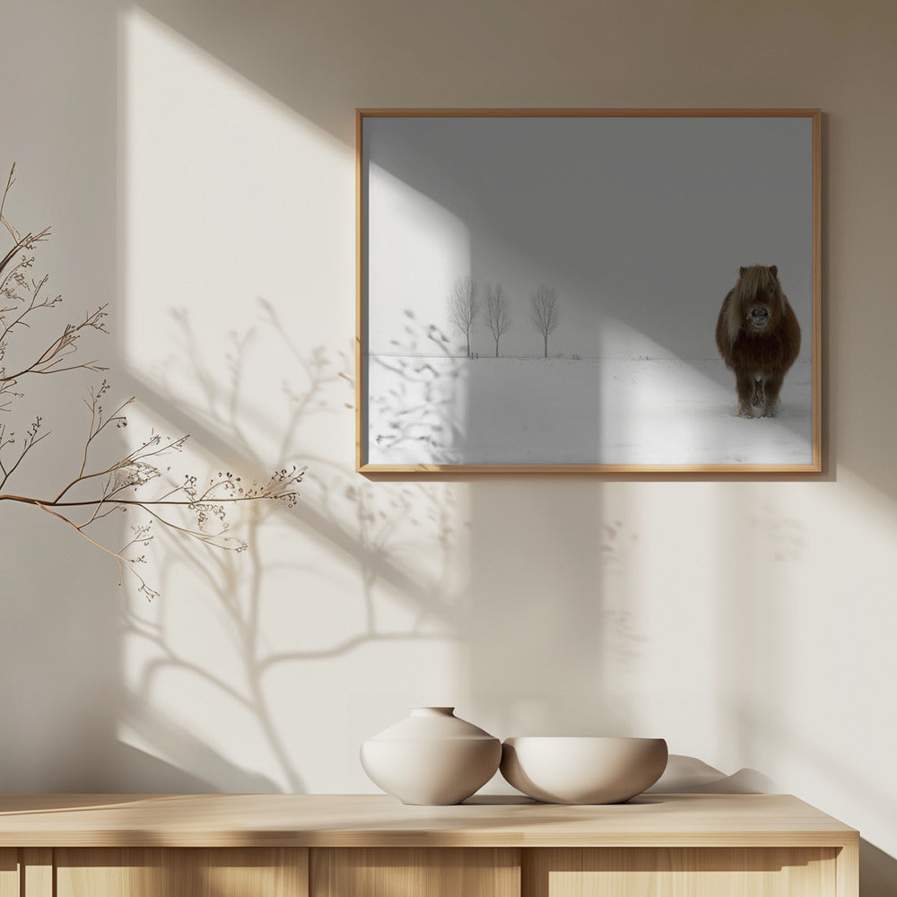 Kylmä poni | Julisteet - Taidevedokset