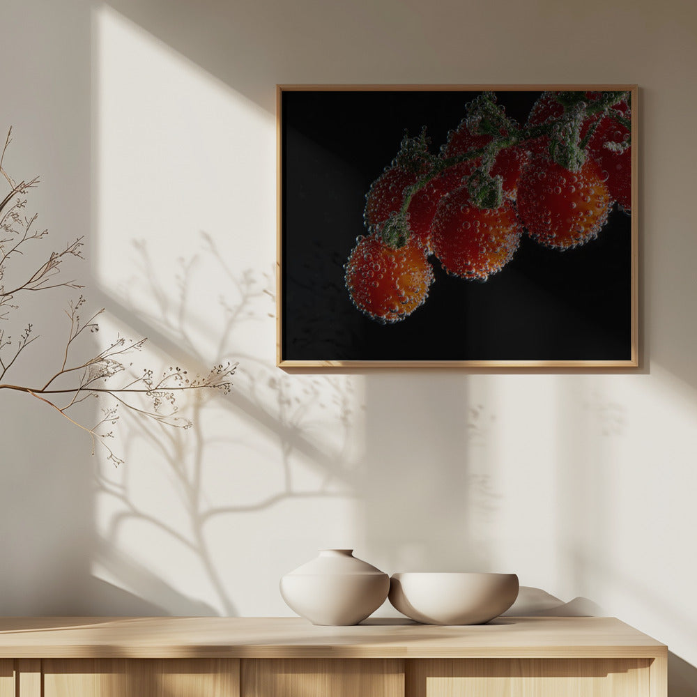 Tomaattia | Julisteet - Taidevedokset