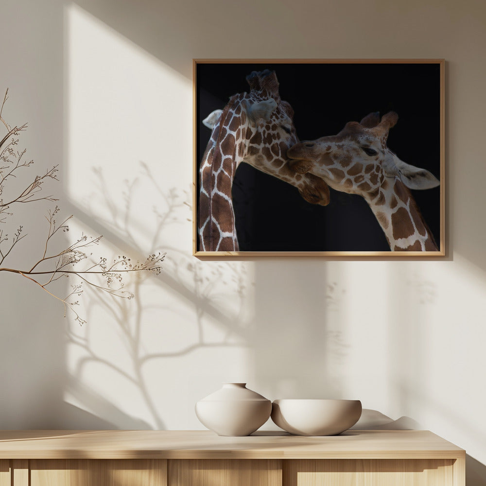 Suudelma | Julisteet - Taidevedokset