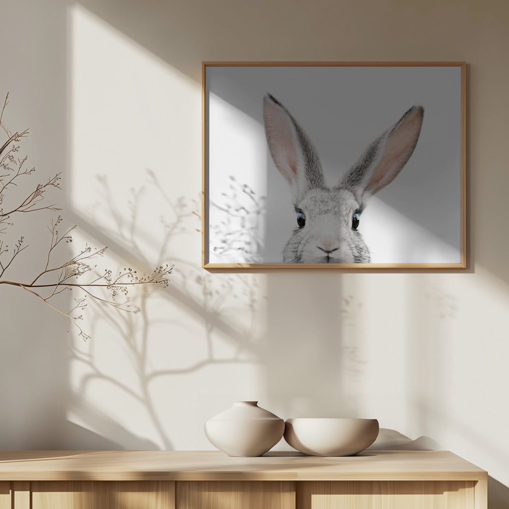 Guckender Hase | Poster - Kunstdruck