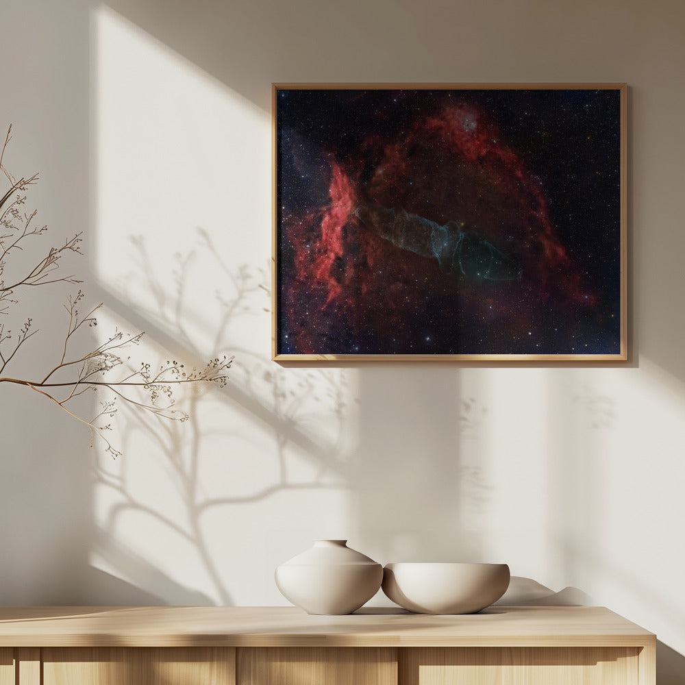 Squid nebula (Nebulosa del calamar) | Poster