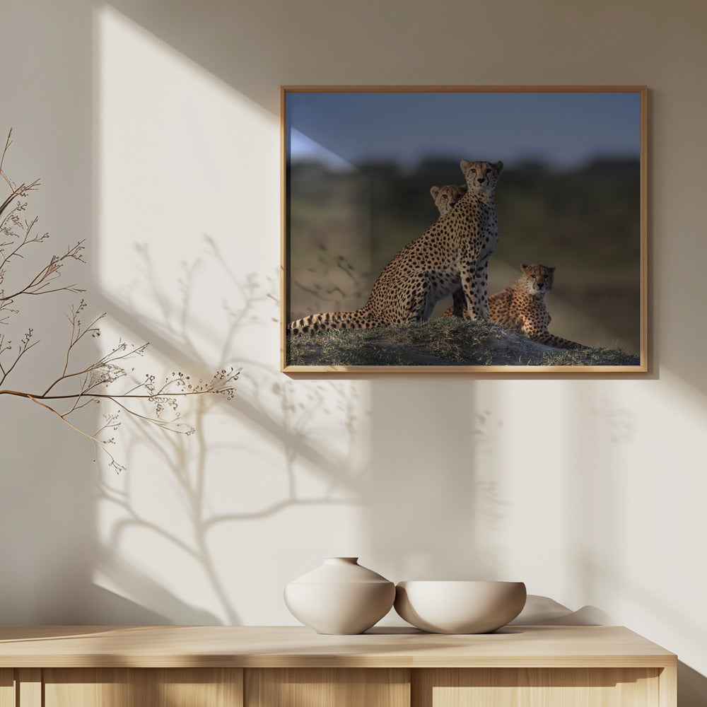 Gepardiperhe | Julisteet - Taidevedokset