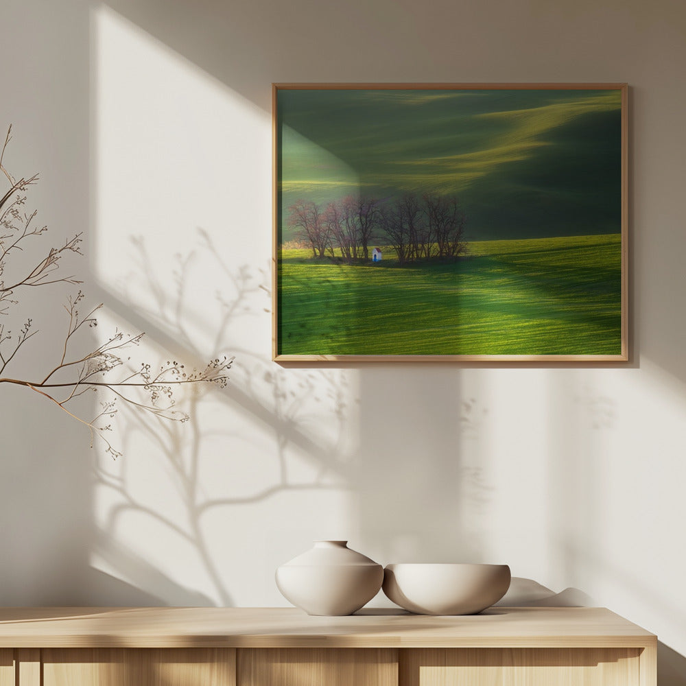 Fields... | Poster