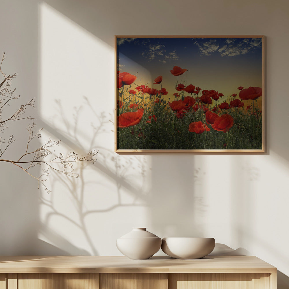 Poppies | Poster