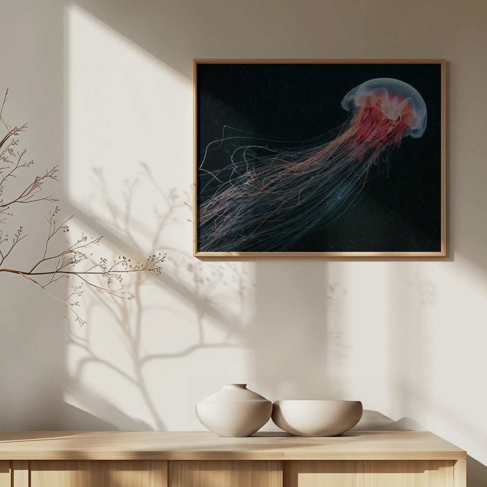 Pitkähäntäinen | Julisteet - Taidevedokset