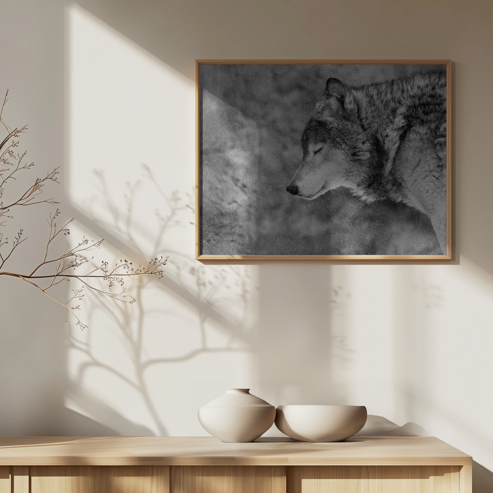 Anna sataa lunta | Julisteet - Taidevedokset