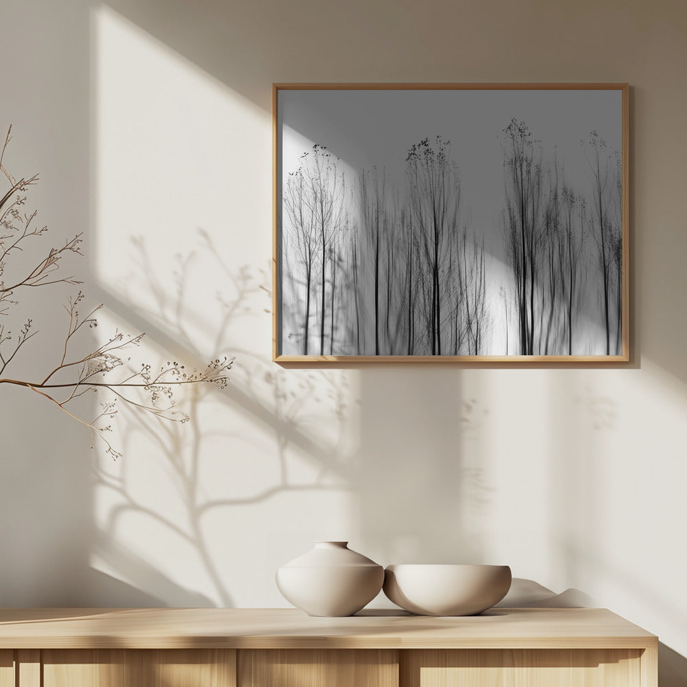 Ei perusteita | Julisteet - Taidevedokset