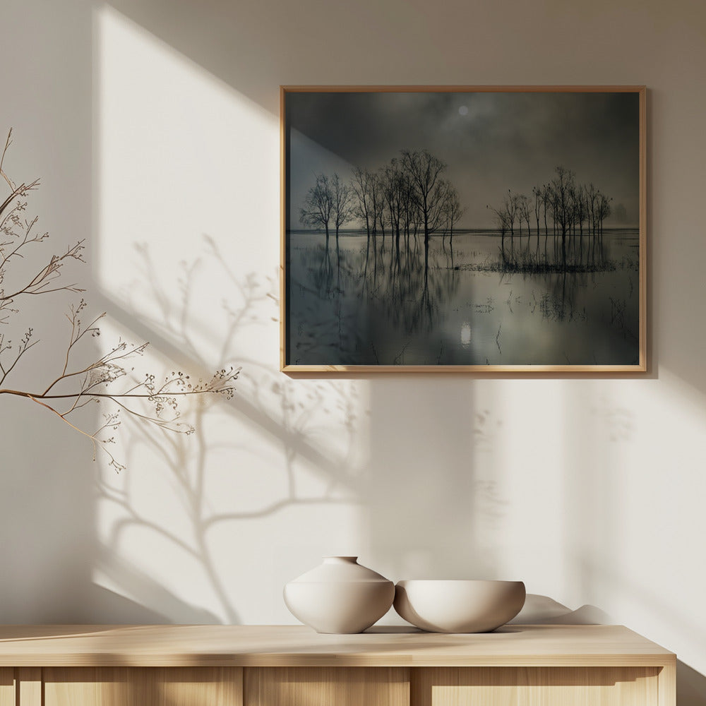 Järven salaisuus | Julisteet - Taidevedokset