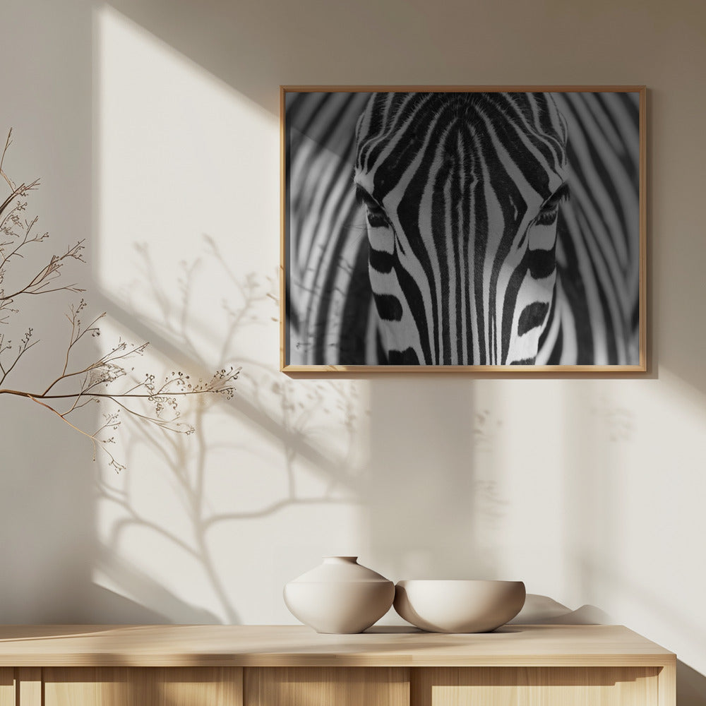 Seepra | Julisteet - Taidevedokset