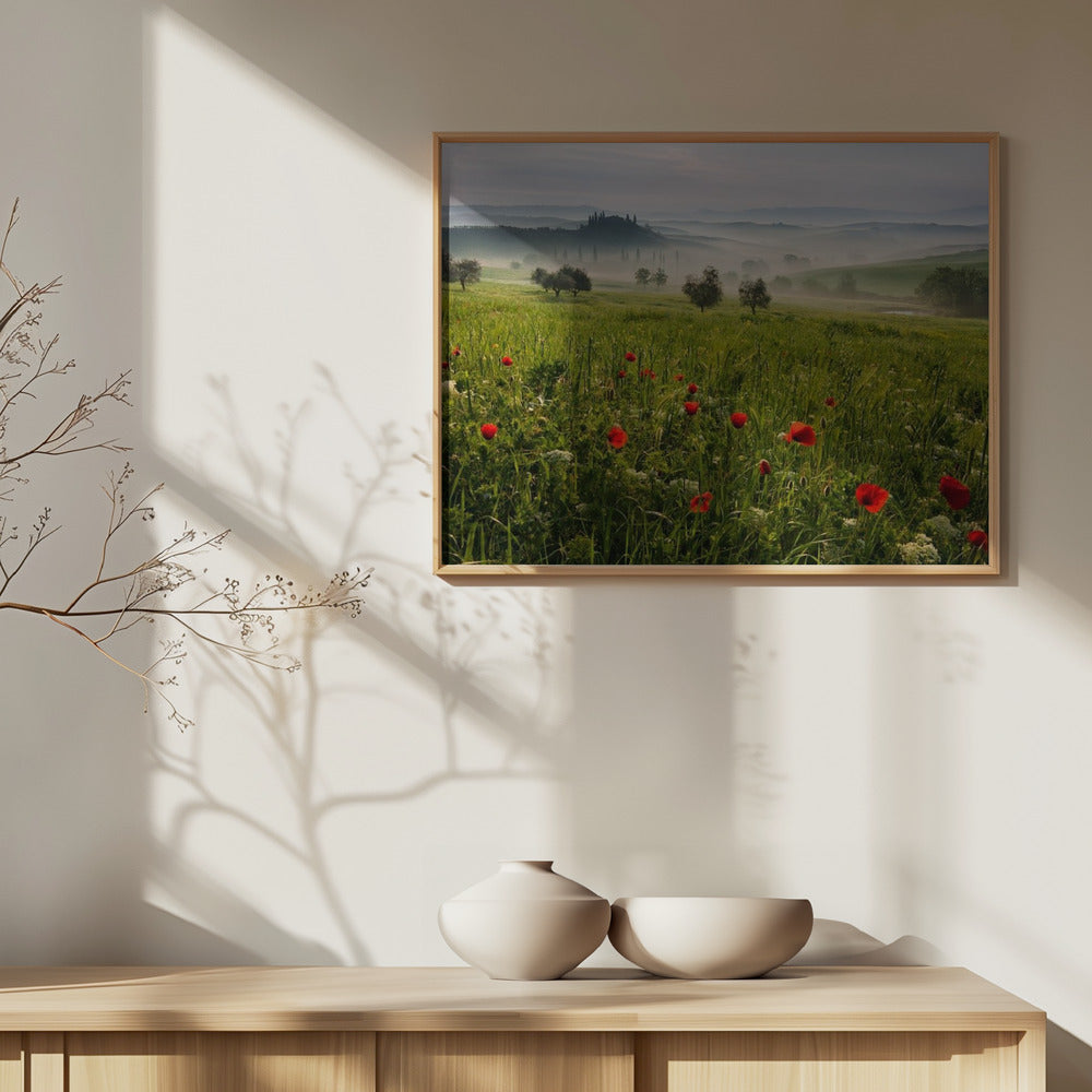 Tuscan spring | Poster