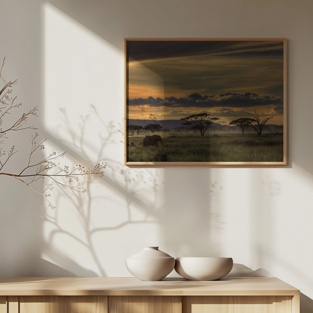 Afryka | Plakaty - Wydruki Artystyczne